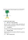 Saudi Araabia #3