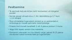 Kaljukotkas #4