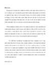 Extended essay-To what extent does a plant-based diet lower the risk of coronary artery disease #2
