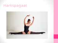 Spagaat #8