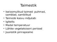 Islandi Vabariik #5