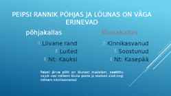 Peipsi rannik #3
