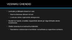 VESINIK põhjalik esitlus #11