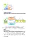 Juhtimise etapid #2