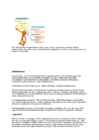 Juhtimise etapid #11