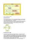 Juhtimise etapid #8