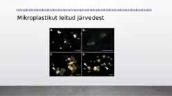 Mikroplastik keskkonna saastajana #3