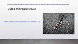 Mikroplastik keskkonna saastajana #9