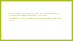 Mullastik #2