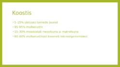 Mullastik #3