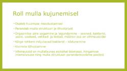 Mullastik #5