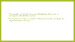 Mullastik #7
