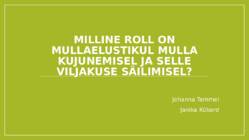 Mullastik