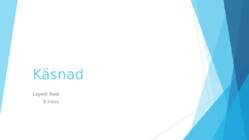 Käsnad