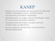 ILLEGAALSED NARKOOTILISED AINED #7
