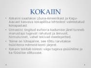 ILLEGAALSED NARKOOTILISED AINED #9