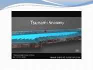 Indian Ocean earthquake and tsunami 2004 #8