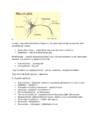 Venemaa kesrid 19-sajand #3