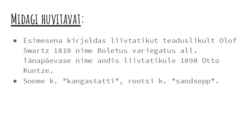 Liivtatik #5