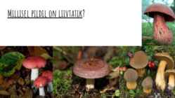 Liivtatik #9