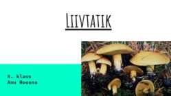 Liivtatik