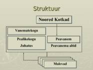 Noored Kotkad - Kaitseliidu eriorganisatsioon #19
