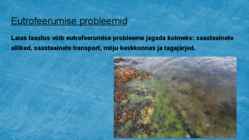 Eutrofeerumine-põhjused ja tagajärjed #8