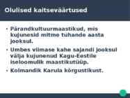 Karula Rahvuspark ettekanne #4