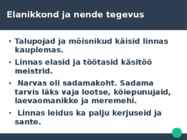 Narva Linn 13-16 sajand #3