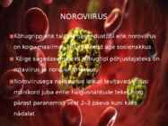 Viirused estilus #11