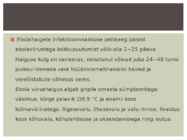 Viirused estilus #25