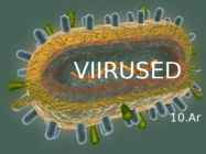Viirused estilus