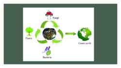 Bioremediatsioon #7