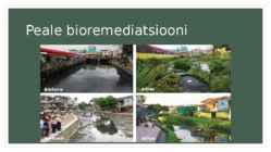 Bioremediatsioon #8