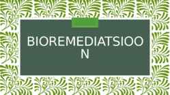 Bioremediatsioon