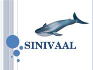 Sinivaal