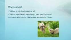 Tuhkur #7
