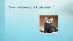Tuhkur #9