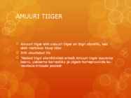 AMUURI TIIGER #2