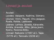 Pandivere kõrgustik #6