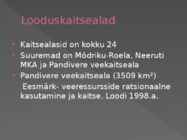 Pandivere kõrgustik #9