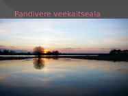 Pandivere kõrgustik #10
