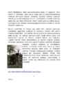 Pühad 2016-aastal #5
