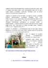 Pühad 2016-aastal #6