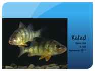 Kalad