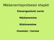 Mädanemine #2