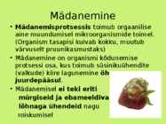 Mädanemine #4