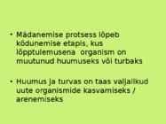 Mädanemine #6