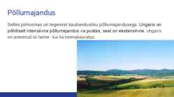 Põllumajandus Ungaris #2