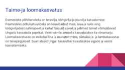 Põllumajandus Ungaris #3